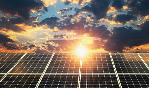 Miscellaneous Products